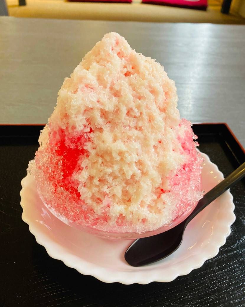 今日はものっそい暑ツィゴイネルワイゼン🫠