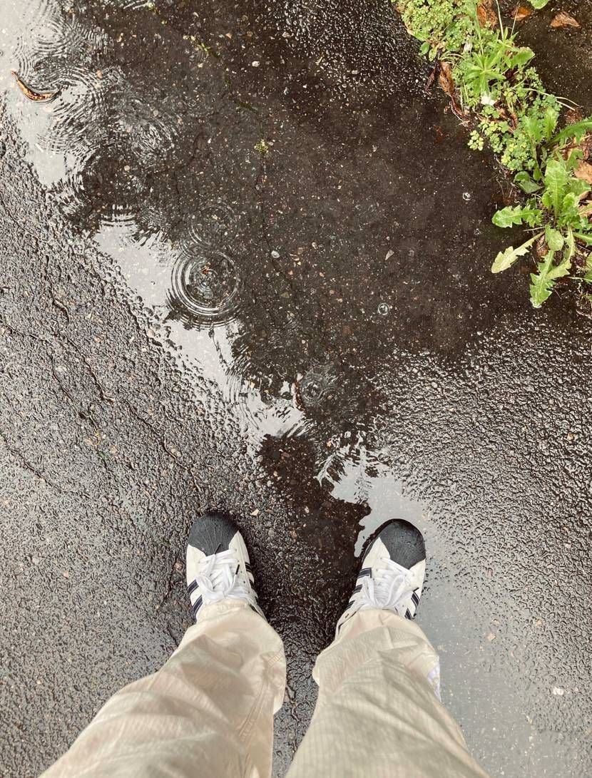 🎵どしゃぶりの雨の中で by 和田アキ子

はい話し盛り