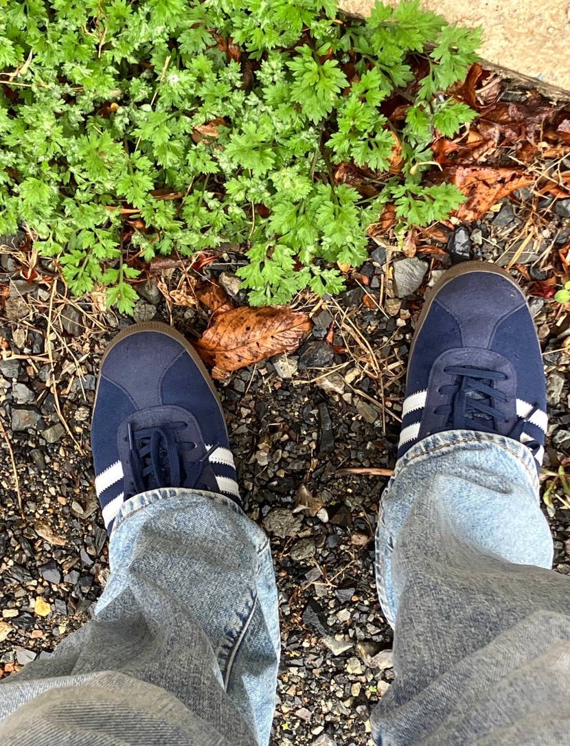 本日はエアマックスDAYですがあいにくの雨☂️gazelle