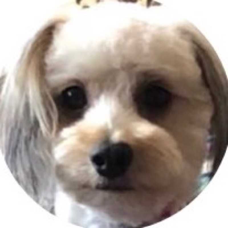 IZUMI