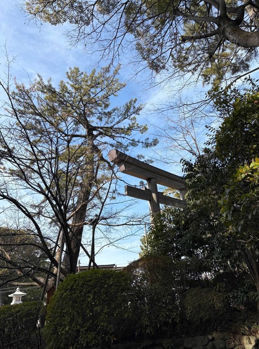 こんばんは😙
なかなか予定が合わず、大安狙ってたら今さら初