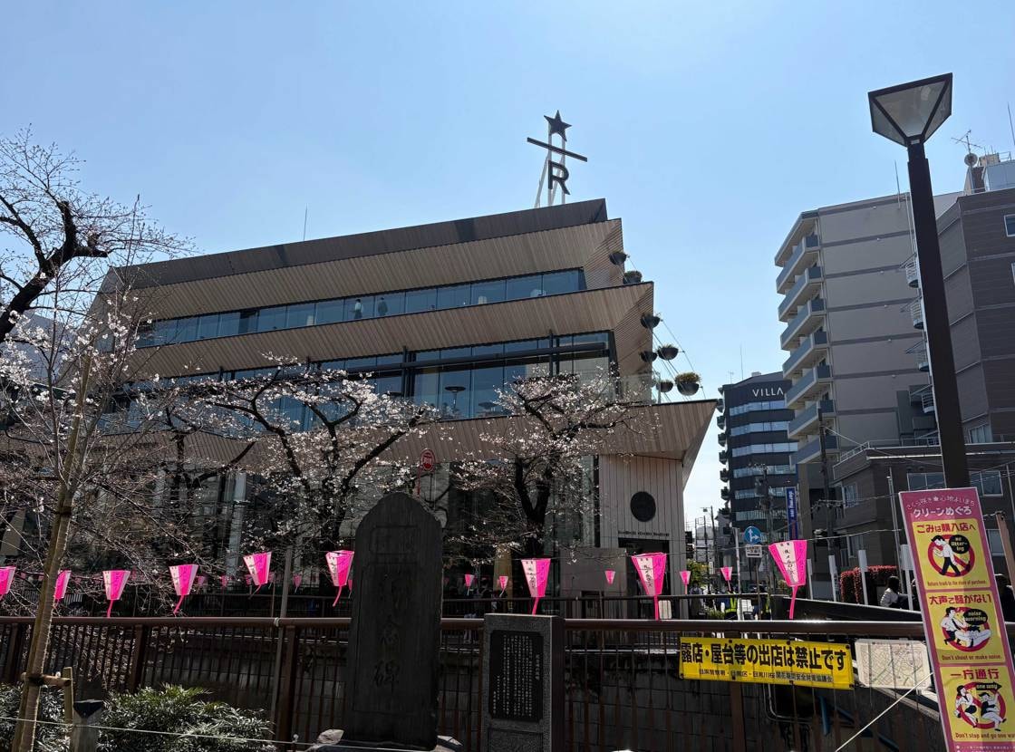 こんばんは😊
わかっちゃいたけど、やっぱり少ししか咲いてな