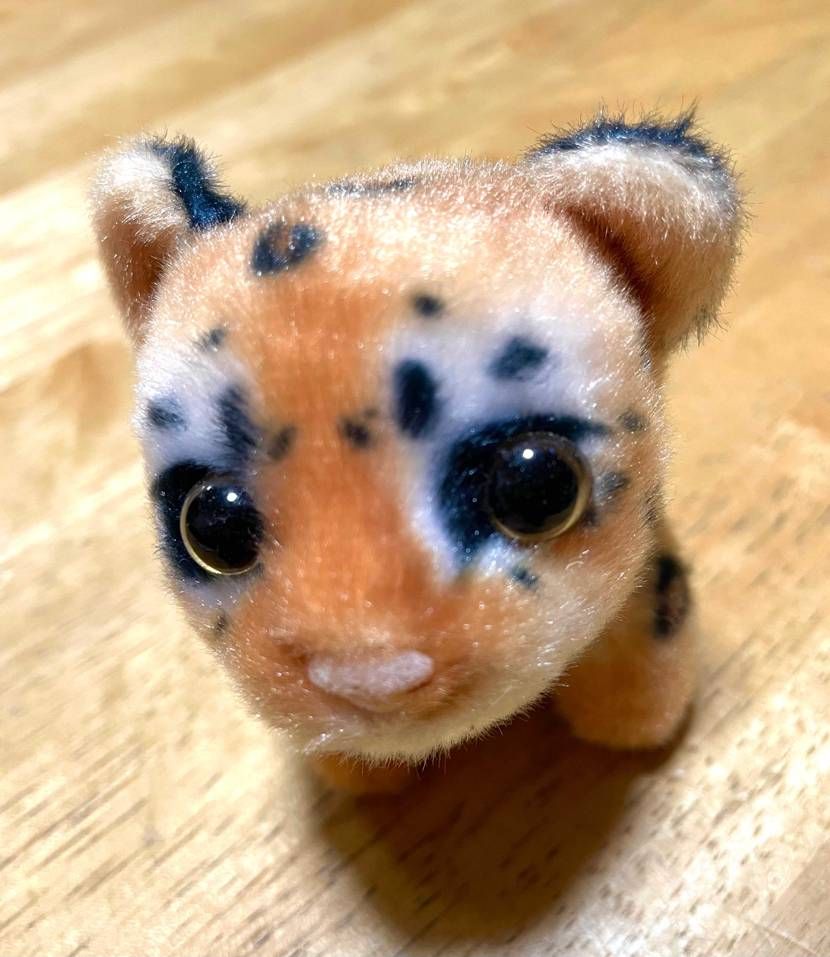 さぁて皆々様々、もうすぐ4月も終わり5月だすね✨
よっ、GWだすね〜✊👽✨ガォ