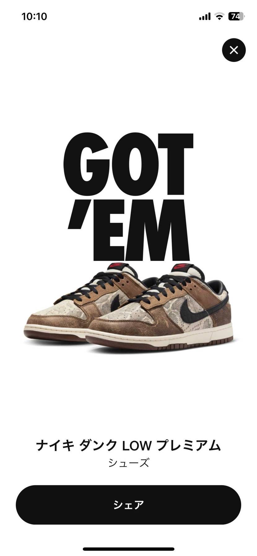 🥳🥳🥳🐿️🎶