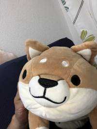 MORIZO(出品者)