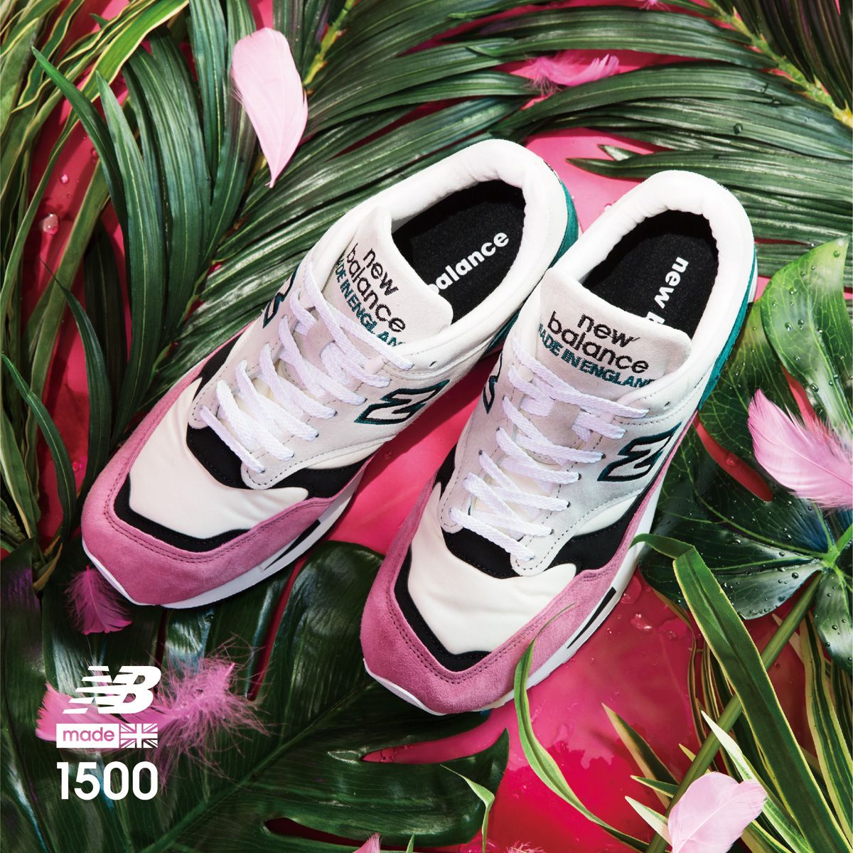 ニューバランス M1500 フラミンゴ パック 3枚目
