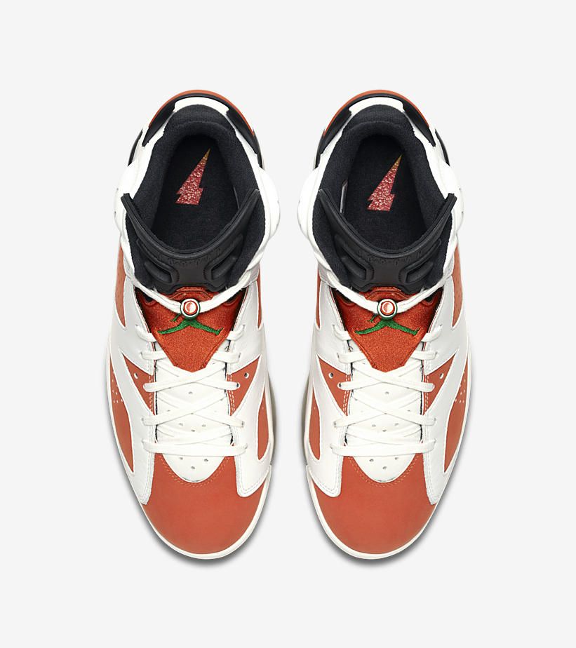 ナイキ エアジョーダン6 レトロ ゲータレード ライク マイク 5枚目