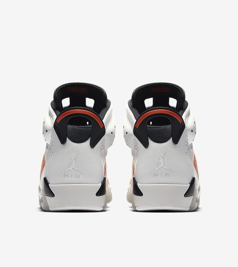 ナイキ エアジョーダン6 レトロ ゲータレード ライク マイク 6枚目