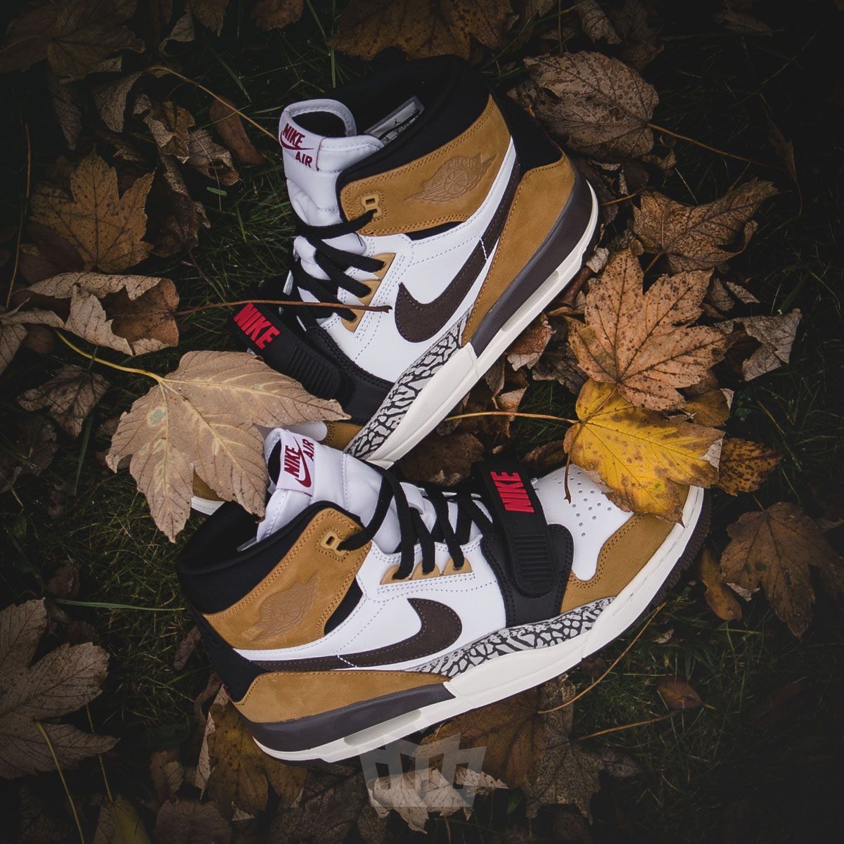 ナイキ ジョーダンレガシー312 ルーキー オブ ザ イヤー 2枚目