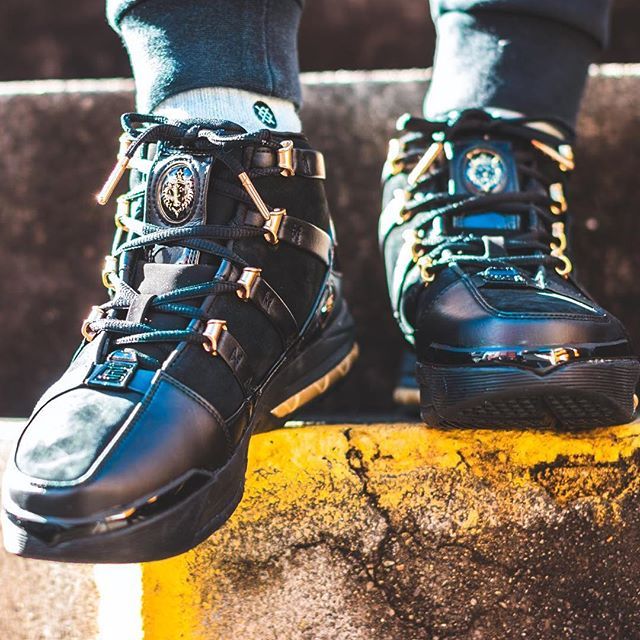 ナイキ ズームレブロン3 "メタリックゴールド" 2枚目