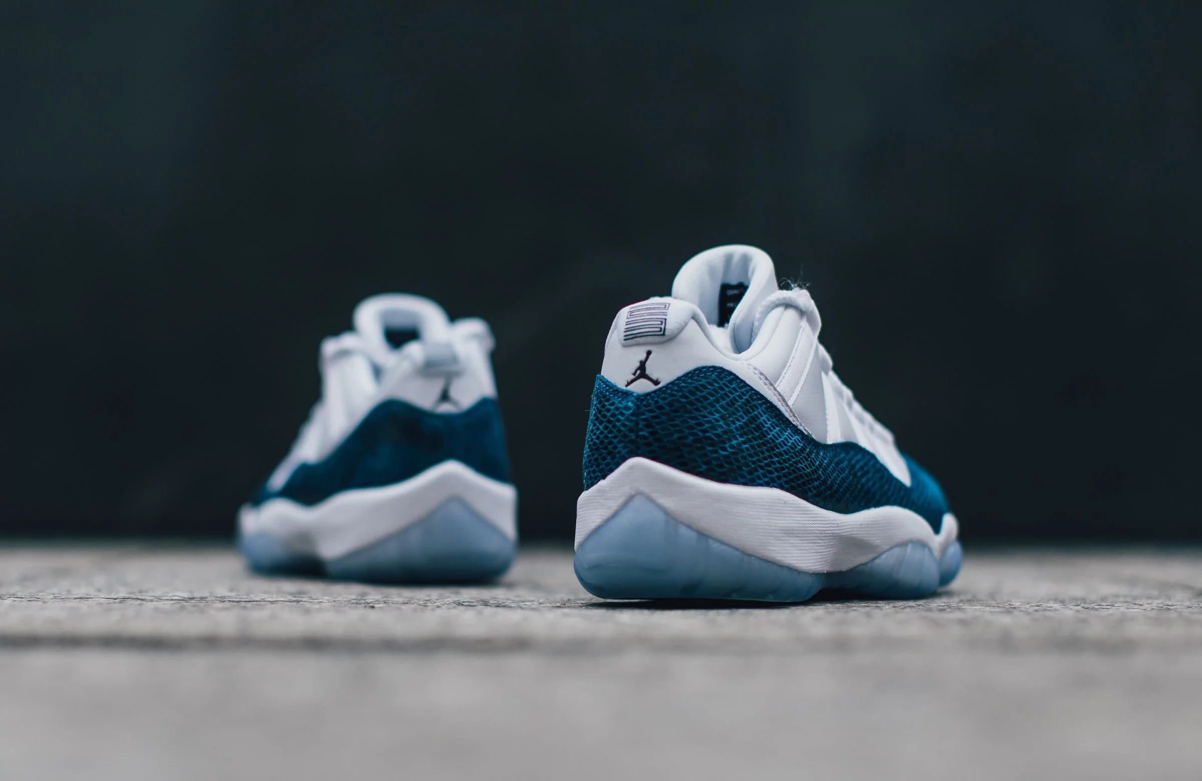 ナイキ エアジョーダン11 スネークスキン 5枚目