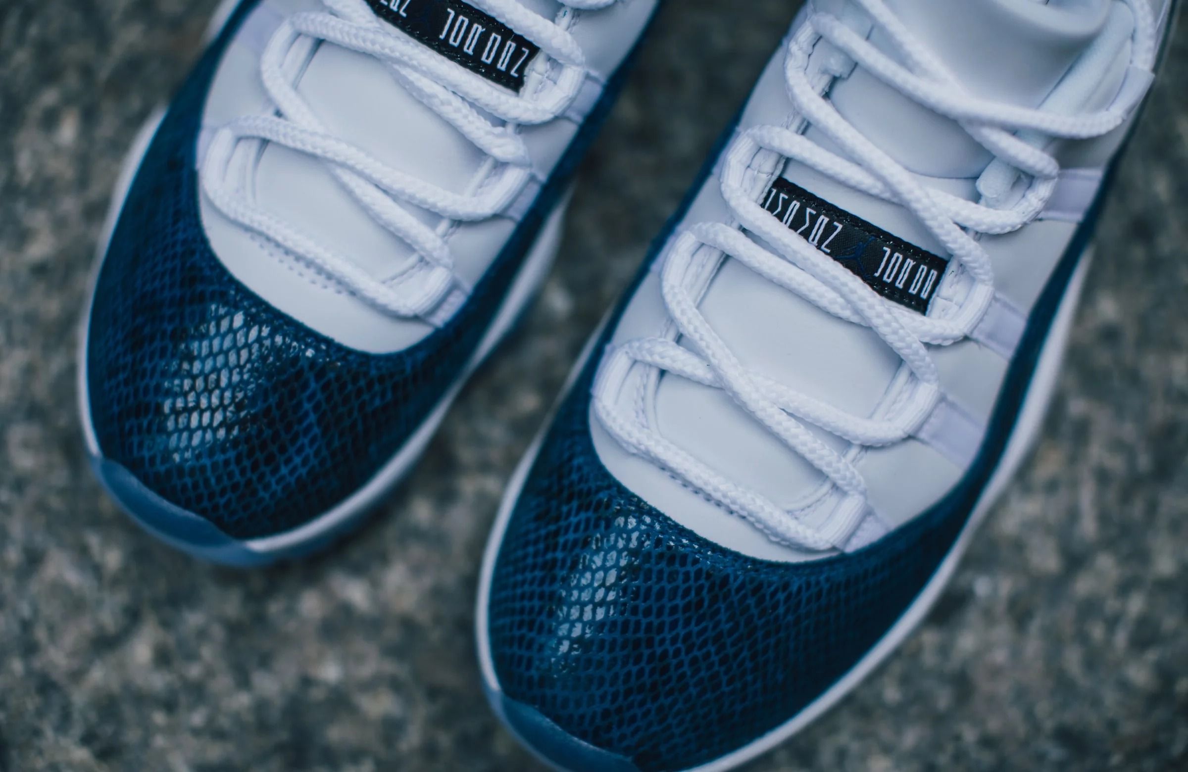 ナイキ エアジョーダン11 スネークスキン 6枚目