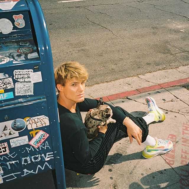 プーマ リキッドセル オプティックシアー ネオンイエロー 2枚目