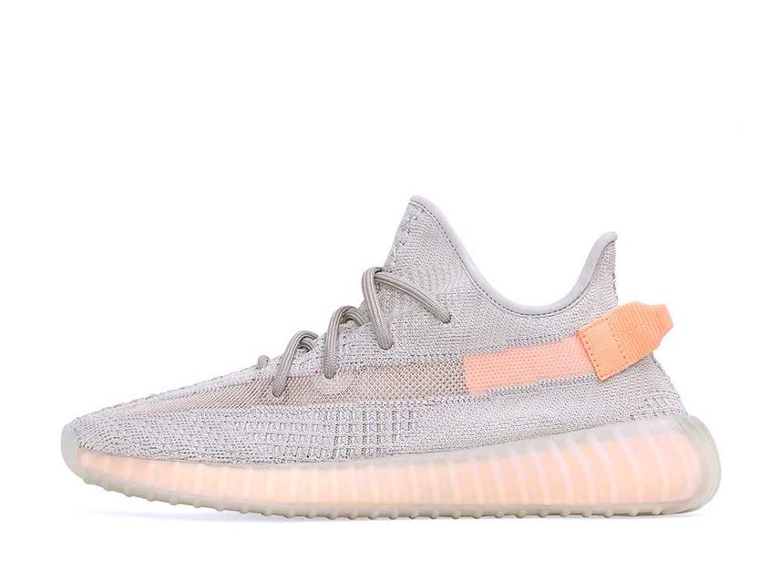 Adidas yeezy boost 350 top v2 true form price