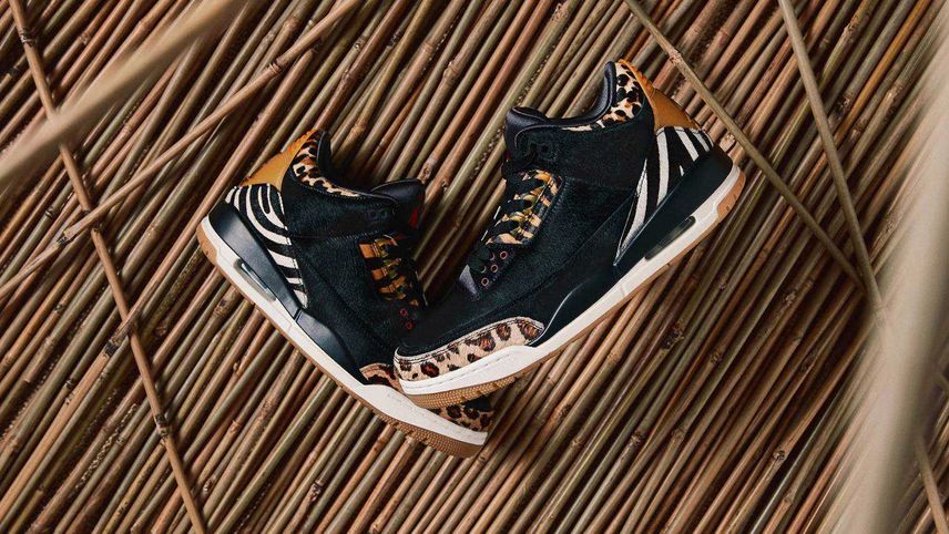 Nike Air Jordan 3 Retro SE