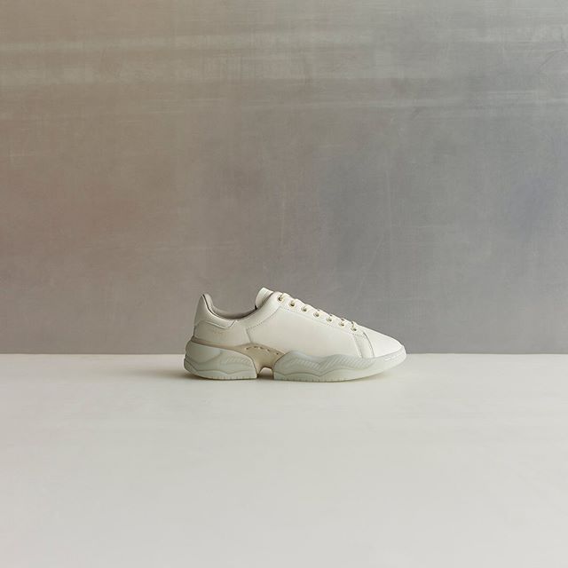 オーエーエムシー × アディダス 全4型 4枚目