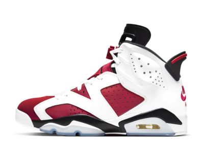 Nike Air Jordan 6