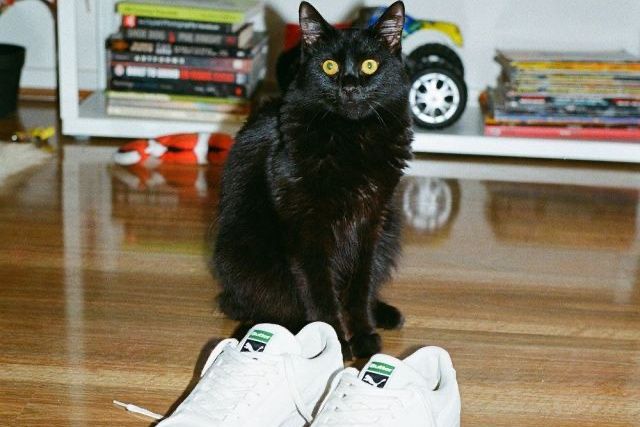 【スニダンで購入可】6/24発売 BUTTER GOODS × PUMA BASKET VTG "CREAM"  抽選/定価/販売店舗まとめ 6枚目