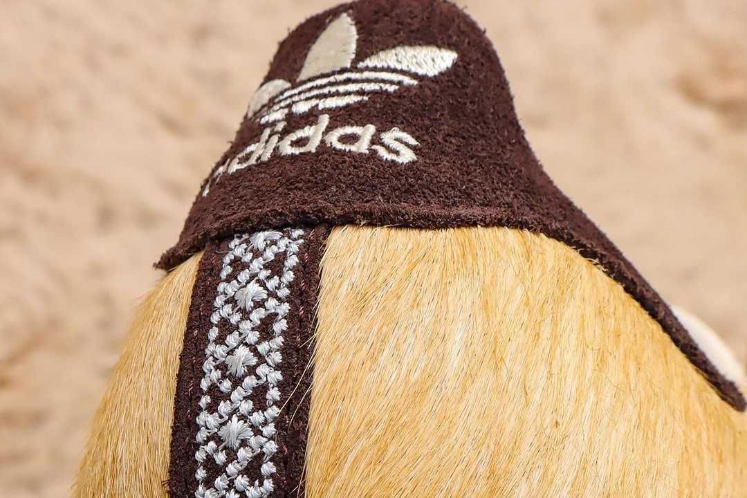 【スニダンで購入可】9/18発売 ADIDAS ORIGINALS SUPERSTAR "HACHIKO" 抽選/定価/販売店舗まとめ 8枚目