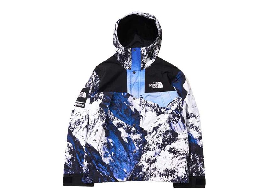 Supreme The North Face Mountain Parka