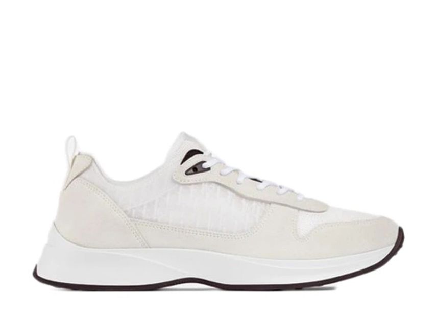 Dior 2024 b25 oblique