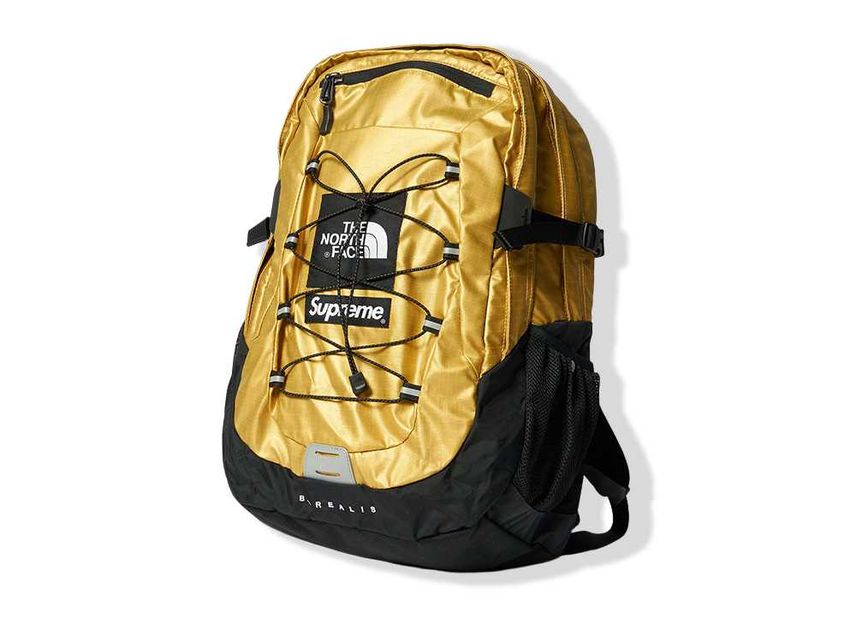 Supreme north face metallic backpack on sale
