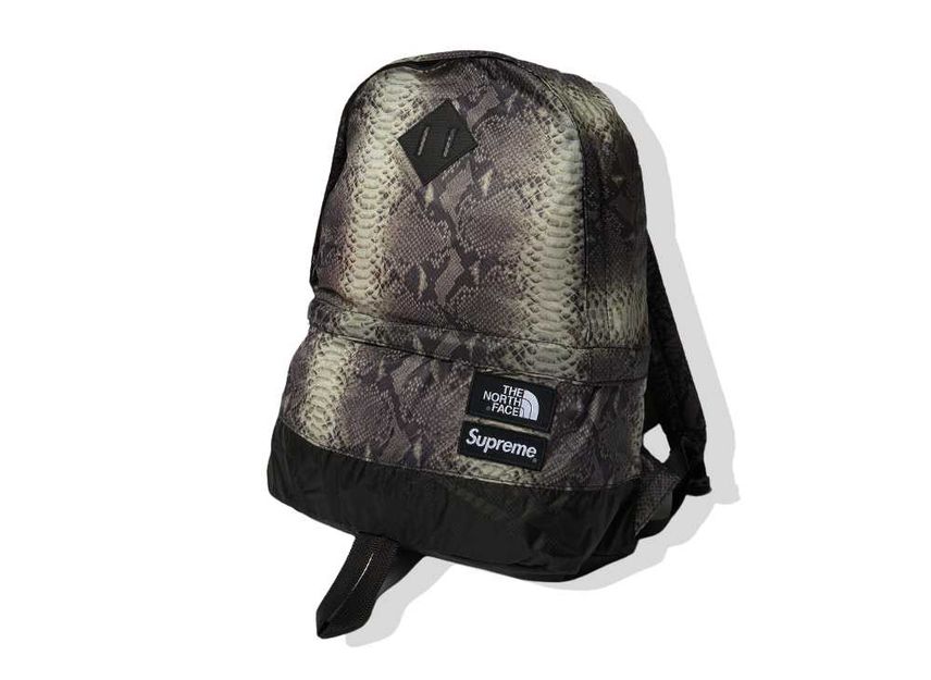Supreme The North Face Lightweight Day Pack