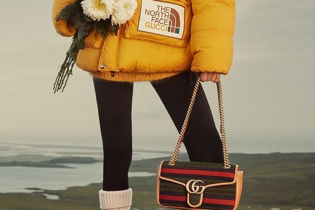 【販売リンクあり】1/19発売 第2弾 GUCCI × The North Face Collaboration Collection 抽選/定価/販売店舗まとめ 2枚目