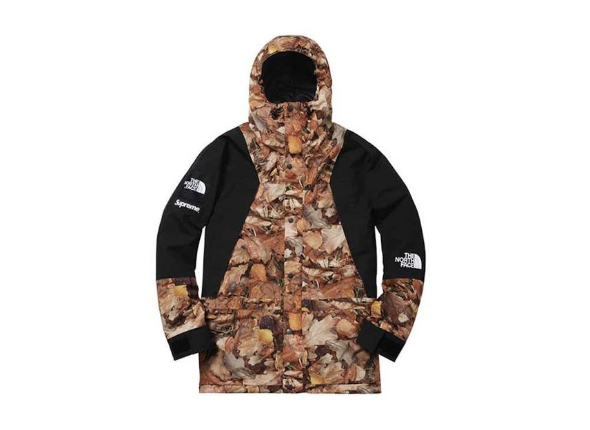Supreme The North Face Leaves Mountain Light Jacket