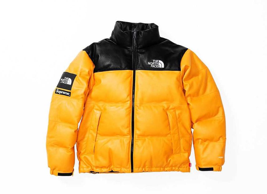 Supreme the north 2025 face leather nuptse jacket