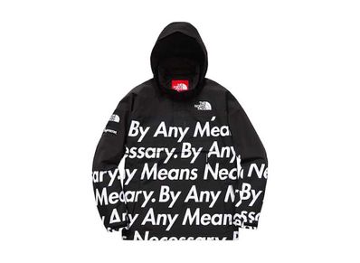 Supreme THE NORTH FACE BY ANY MEANS MOUNTAIN JACKET