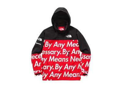 Supreme THE NORTH FACE BY ANY MEANS MOUNTAIN JACKET