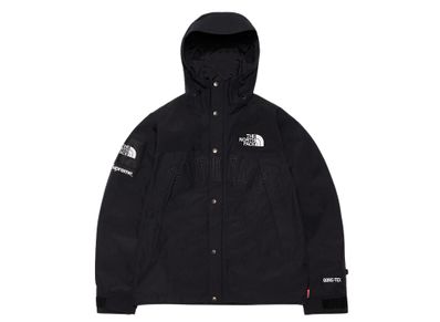 Supreme The North Face Arc Logo Mountain Parka