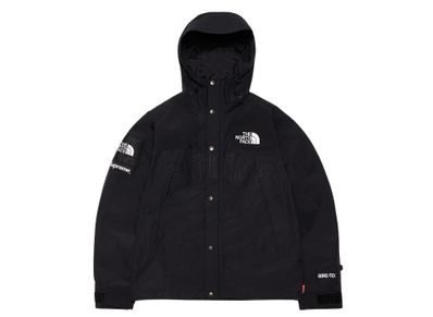 Supreme / The North Face® Arc Logo Mountain Parka 