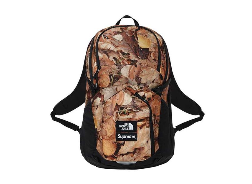 supreme north face leaves pocono | www.tspea.org