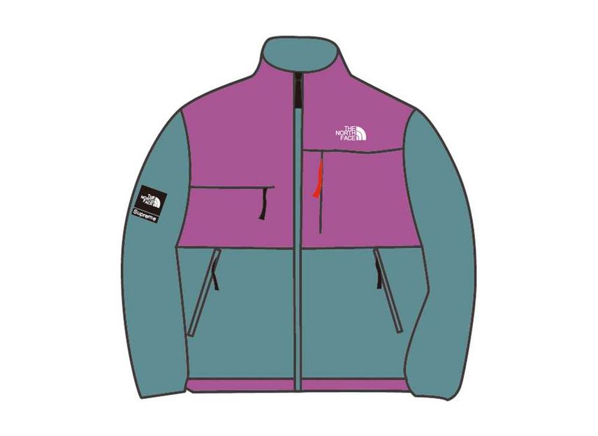 Supreme the north hot sale face denali