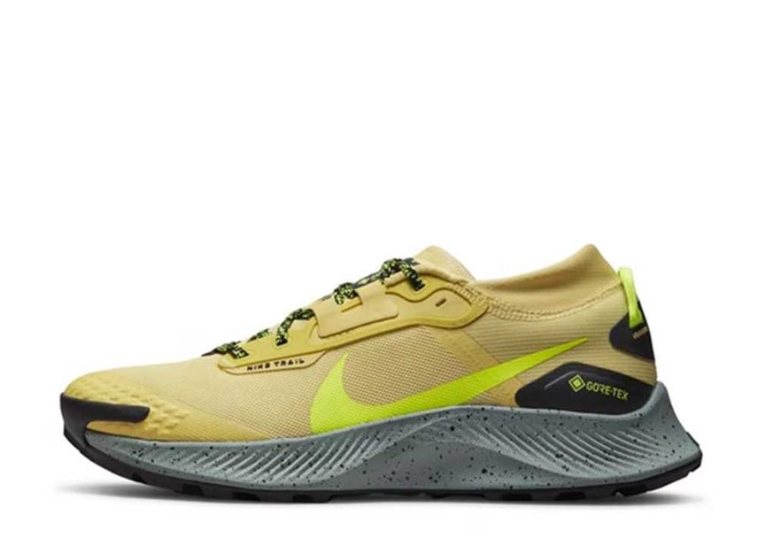Nike Pegasus Trail 3 Gore-Tex