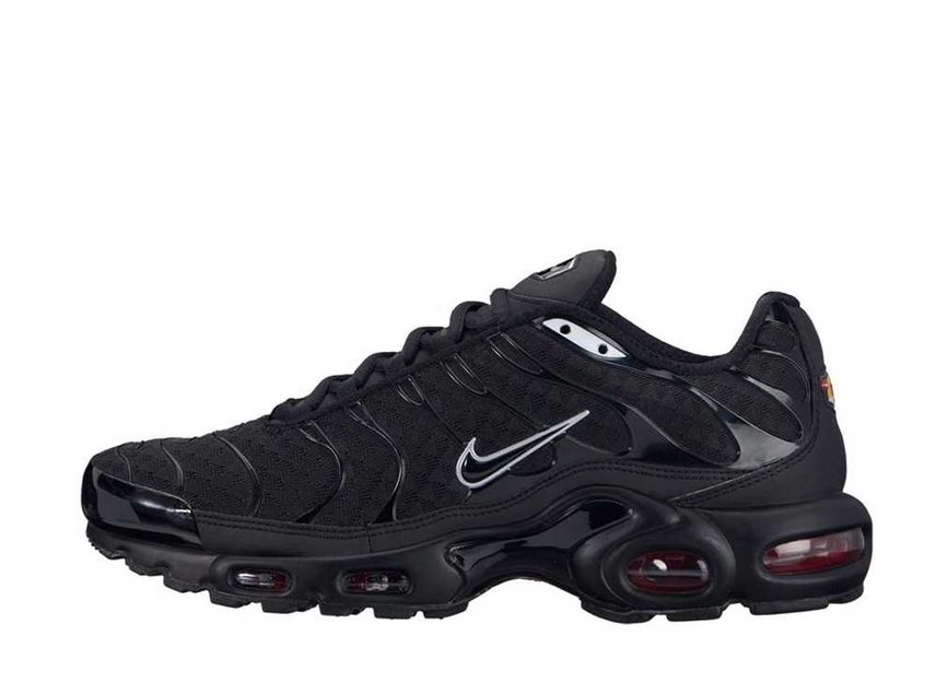 Nike Air Max Plus Ninja Black
