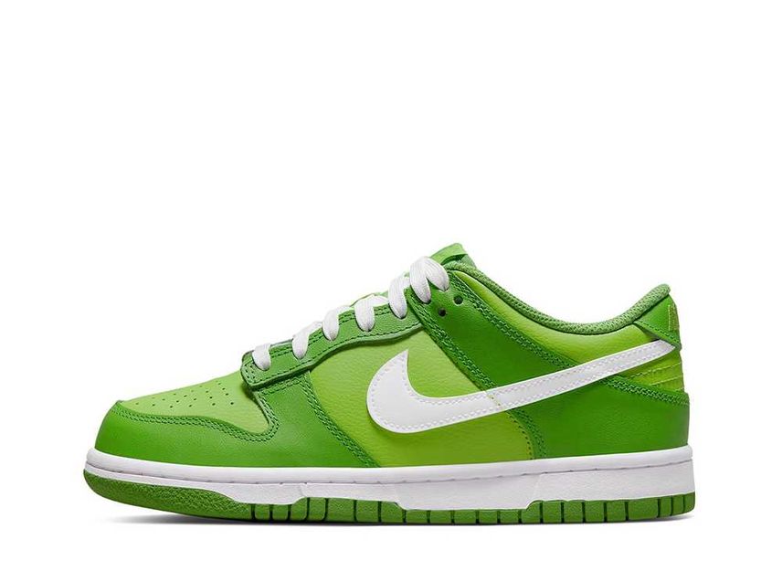 Nike GS Dunk Low