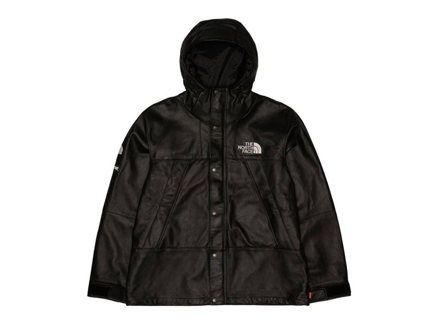 Supreme The North Face Leather Mountain Parka