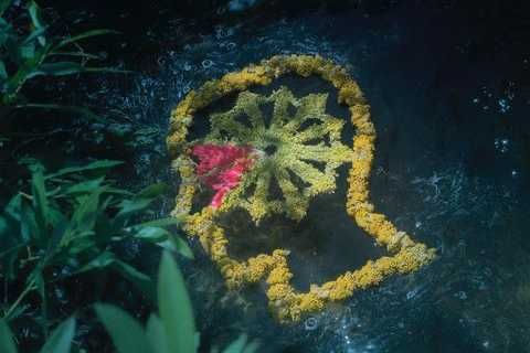 【リーク】Brain Dead × Reebok Club C Revenge 2colors 抽選/定価/販売店舗まとめ 4枚目