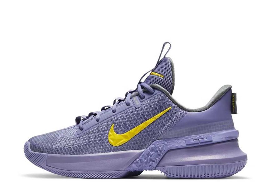 Nike LeBron Ambassador 13