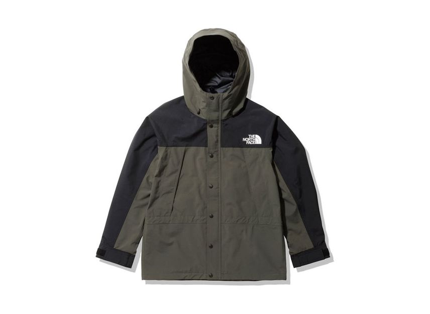 North face deals mountain light 2019