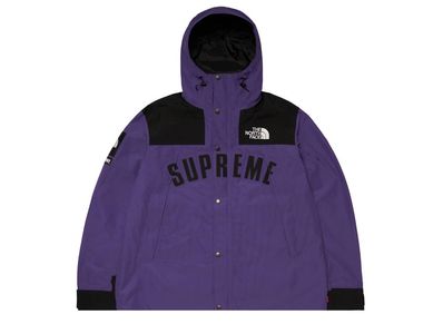 Supreme / The North Face® Arc Logo Mountain Parka