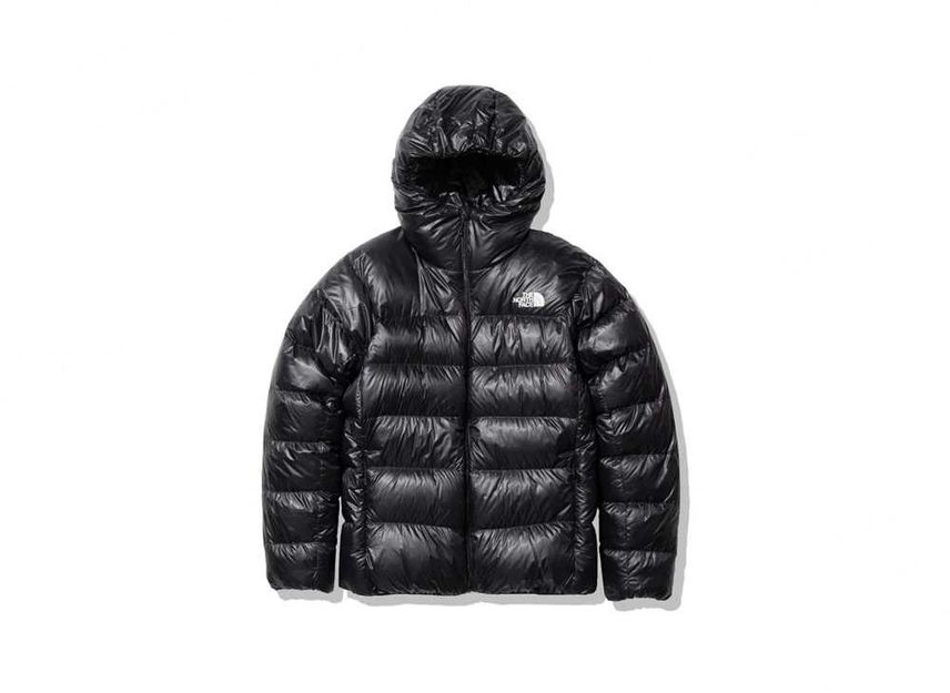 Alpine nuptse best sale hoodie