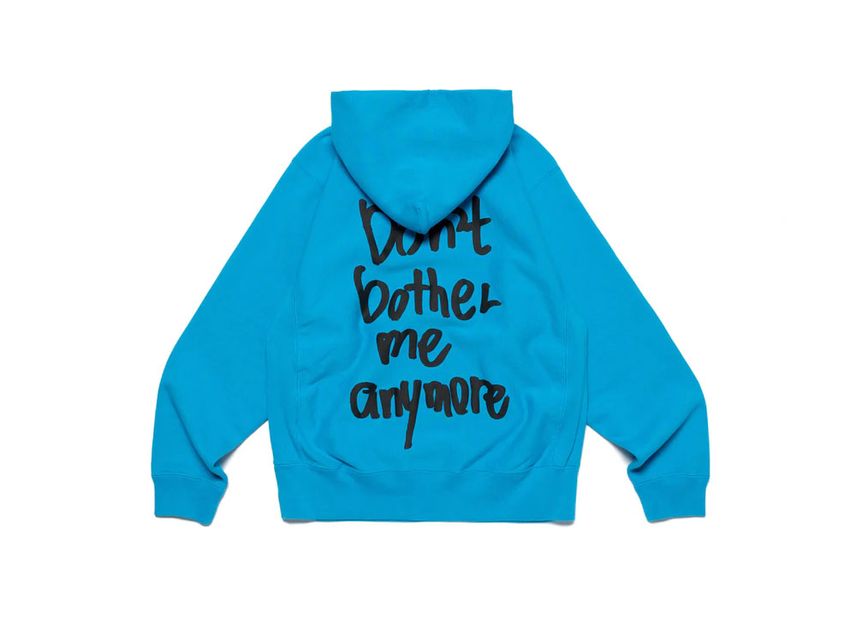 Wasted youth best sale hoodie