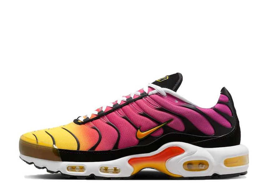 Nike air 2025 max plus gradient
