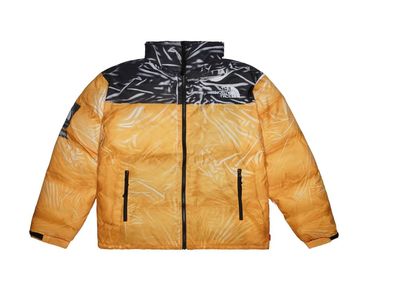 Supreme The North Face Trompe Loeil Printed Nuptse Jacket