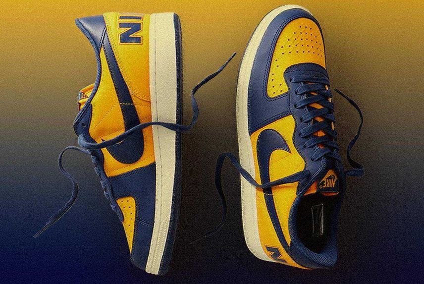 Nike Terminator Low Nike Terminator Low