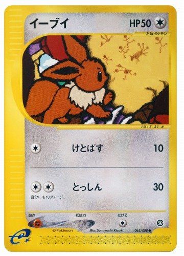 2002 イーブイ　eカード　1st Edition PSA9 裂けた大地 2002 イーブイ eカード 1st Edition PSA9 裂けた大地 2002